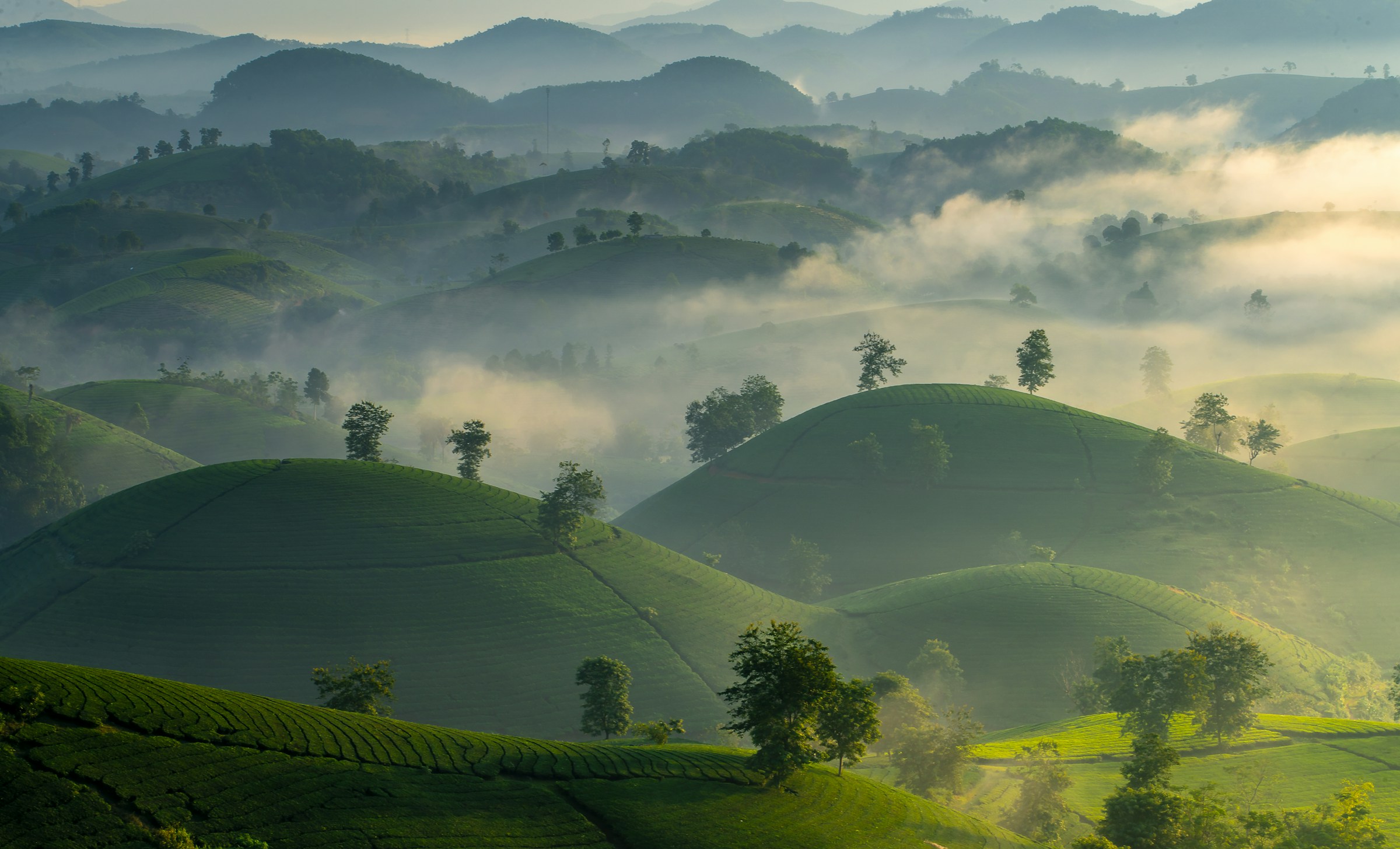 Khi sương còn chưa thức.