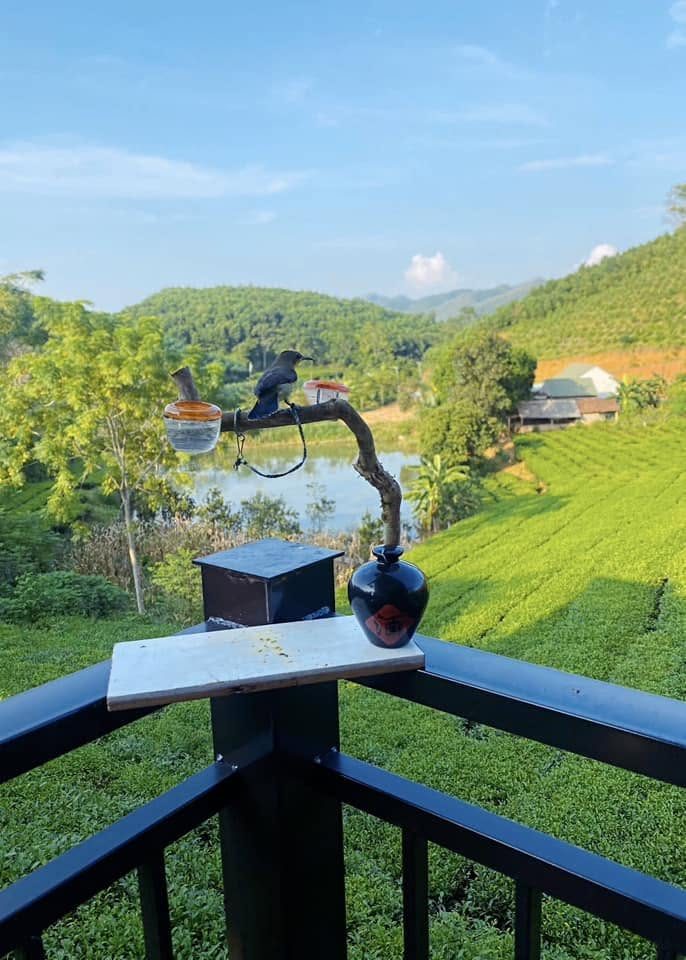 Ban công nhìn ra đồi chè xanh và thung lũng
